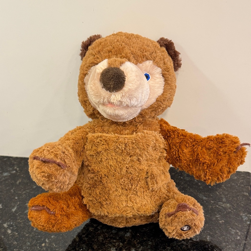 Eric Carle Brown Bear What Do You See? Zoobies Cloth Storybook Buddies 12” Plush